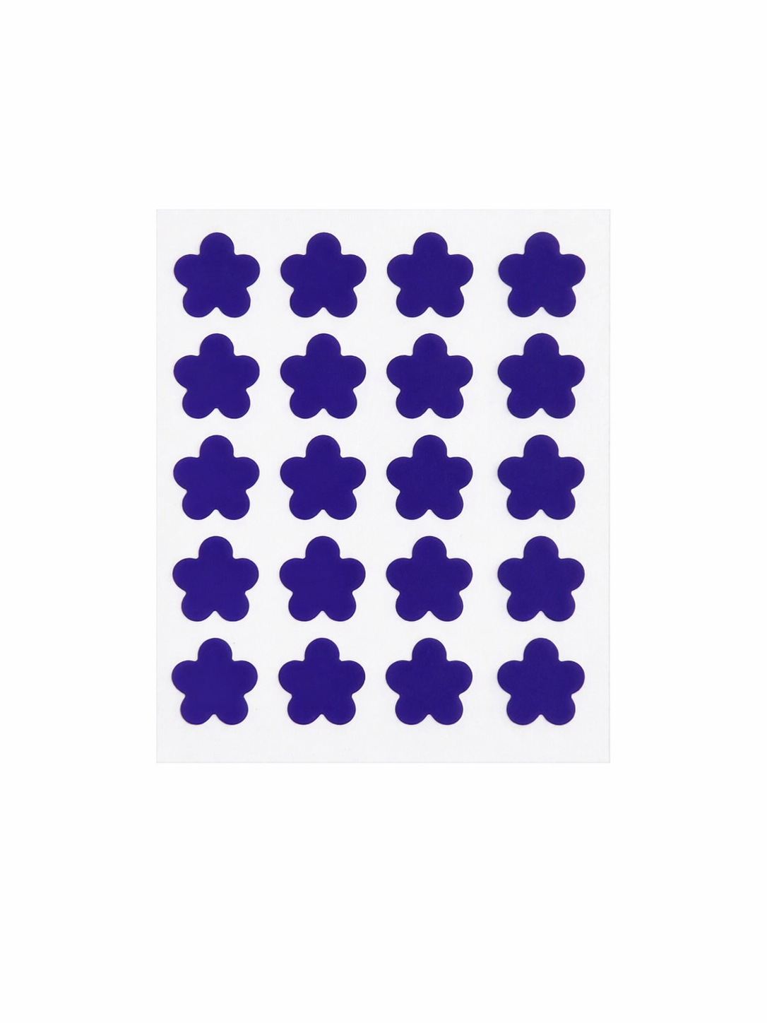 Purple Bloom